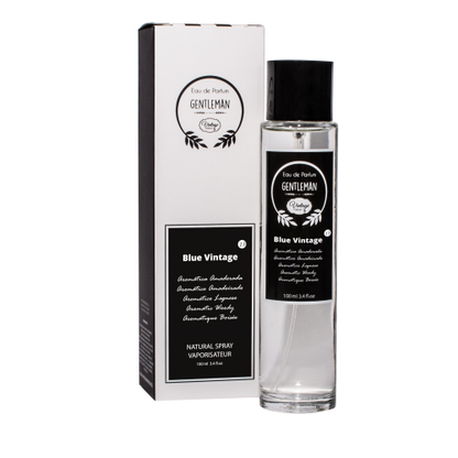 Pack Prenda para Ele: perfume Vintage Homem N.13