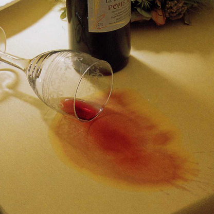 HG Tira-nódoas de nr. 1 - Removedor de Nódoas de Café, Chá, Ketchup e Vinho Tinto para Roupa