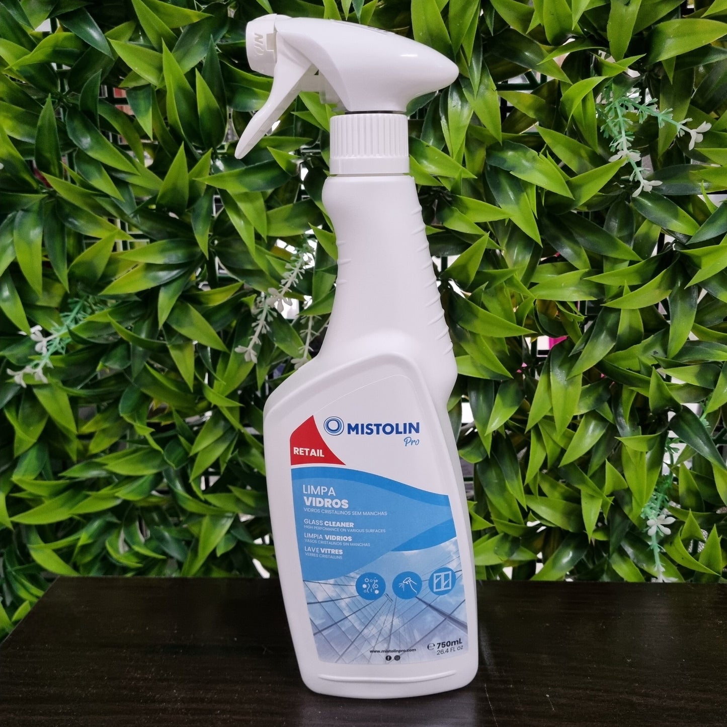 Mistolin Pro Limpa Vidros 750ml